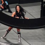 WWE Wrestlepalooza 2025 results: Winners, highlights of matches